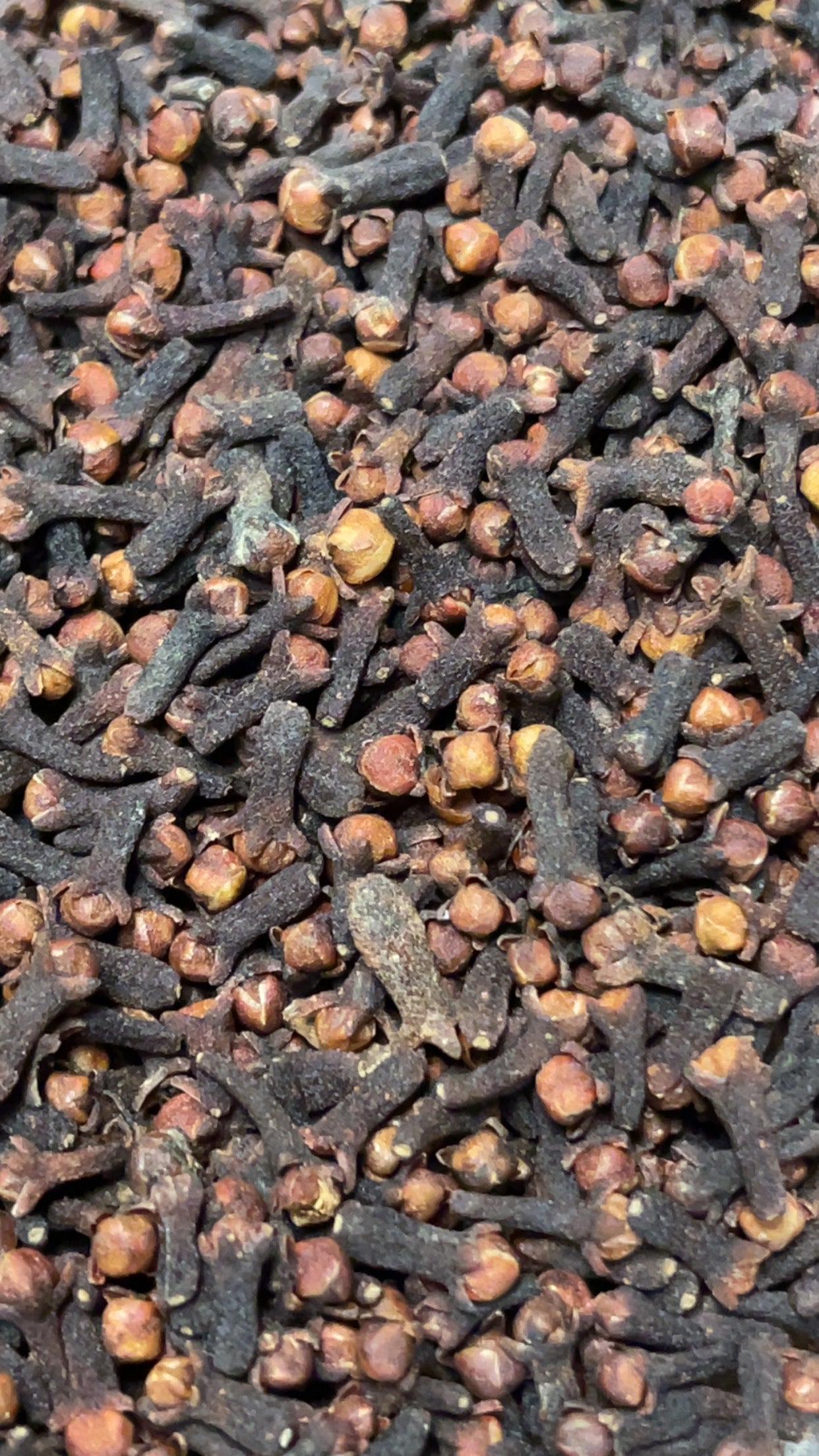 Organic Whole Cloves (1.5oz)