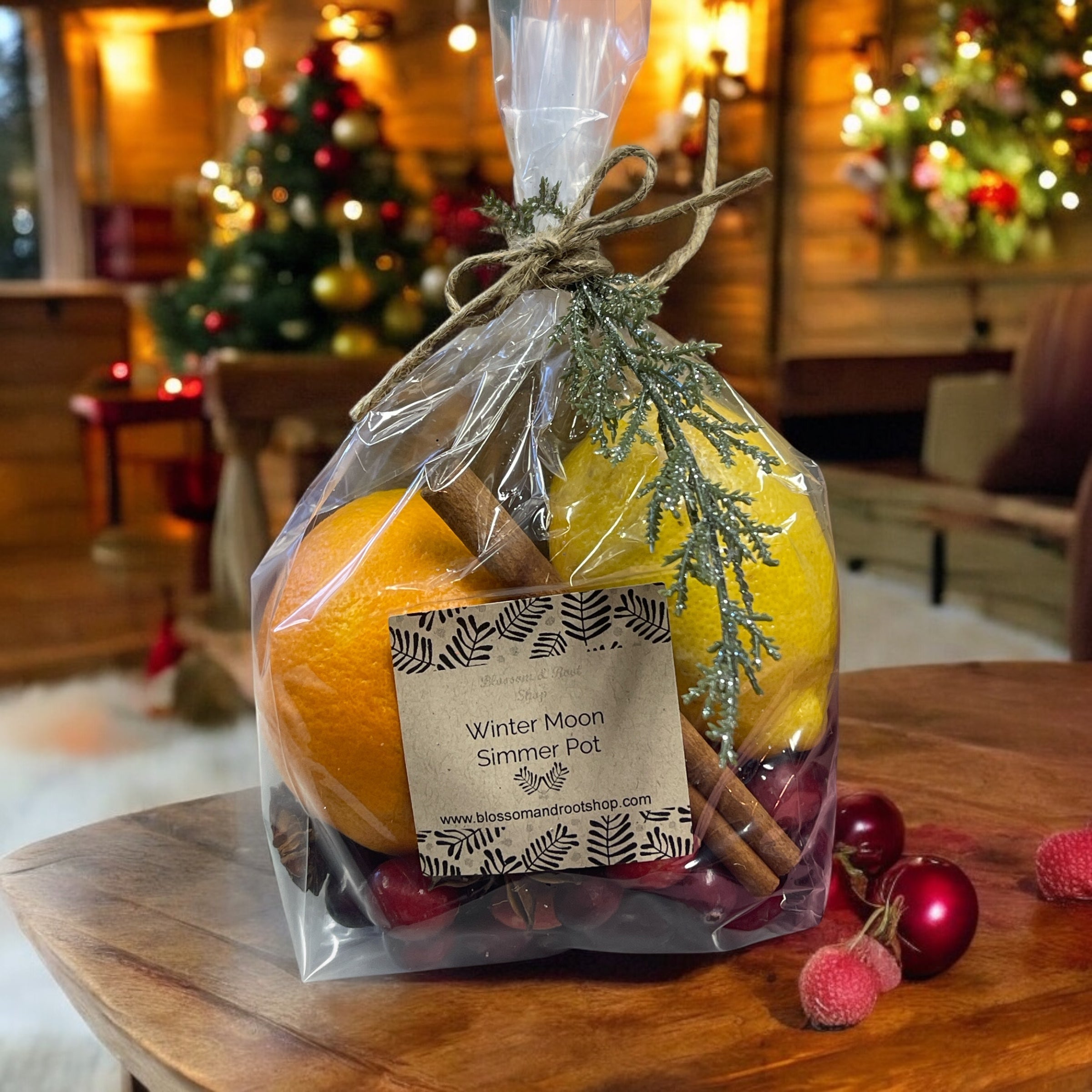 Fresh Winter Moon Simmer Pot  **Only available for pickup**