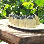 Almond Milk Oatmeal Soap with Activated Charcoal