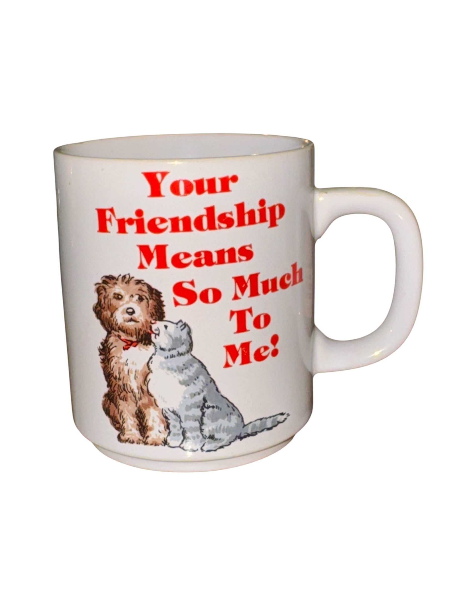 Vintage 70’s Friend Coffee Mug “Your Friendship Means So Much To Me!”