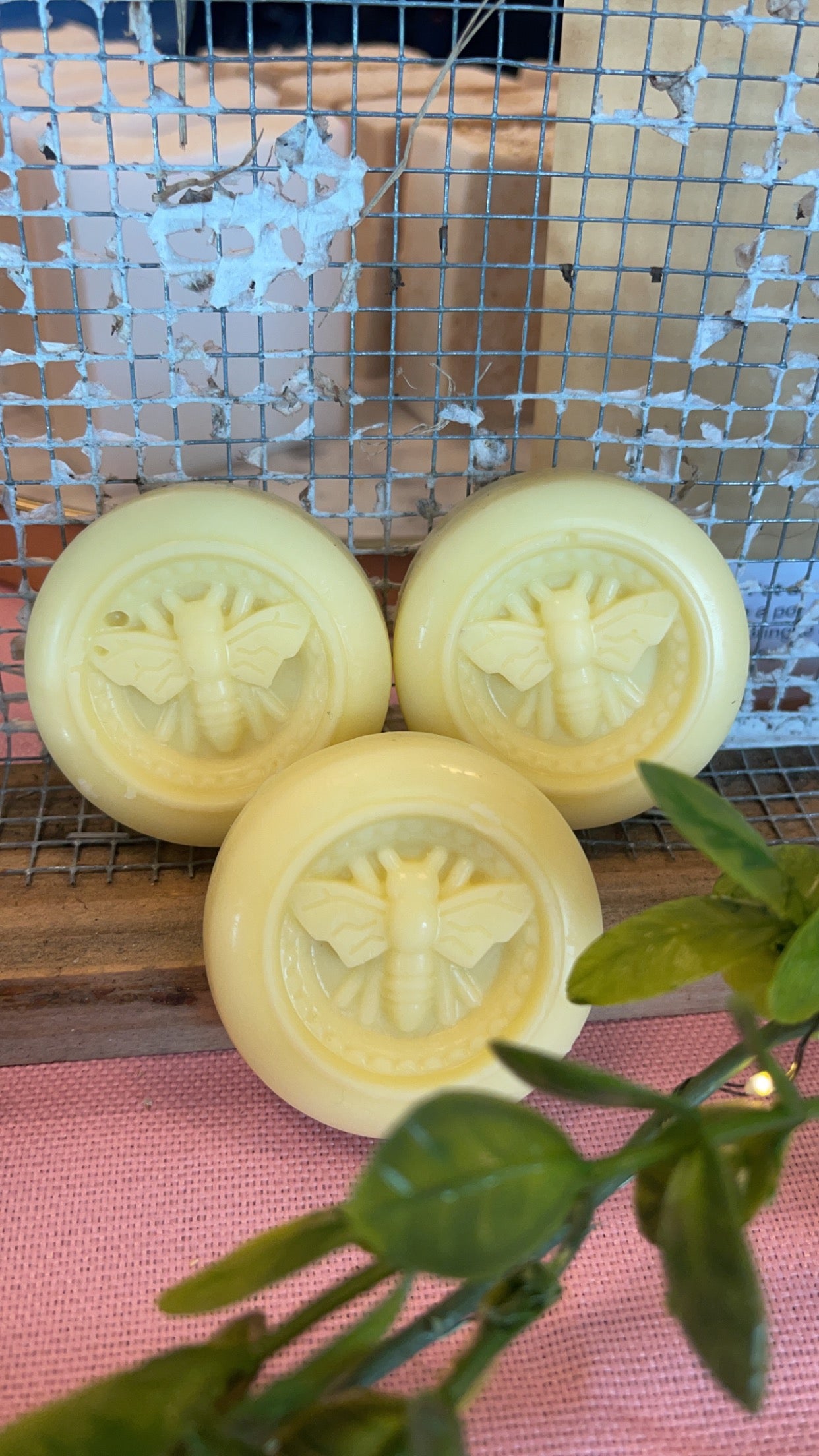 Bergamot Lotion Bar 1oz