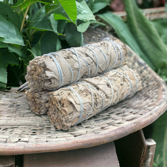 White Sage Bundle (4in)